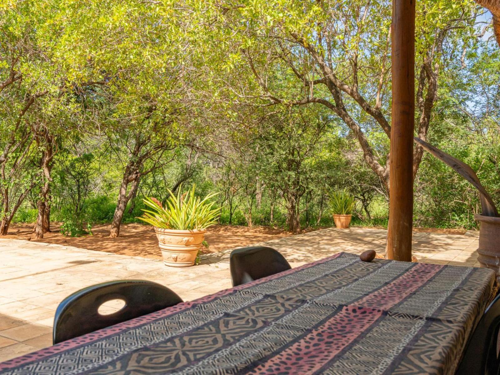 Impala Cottage Hoedspruit Esterno foto